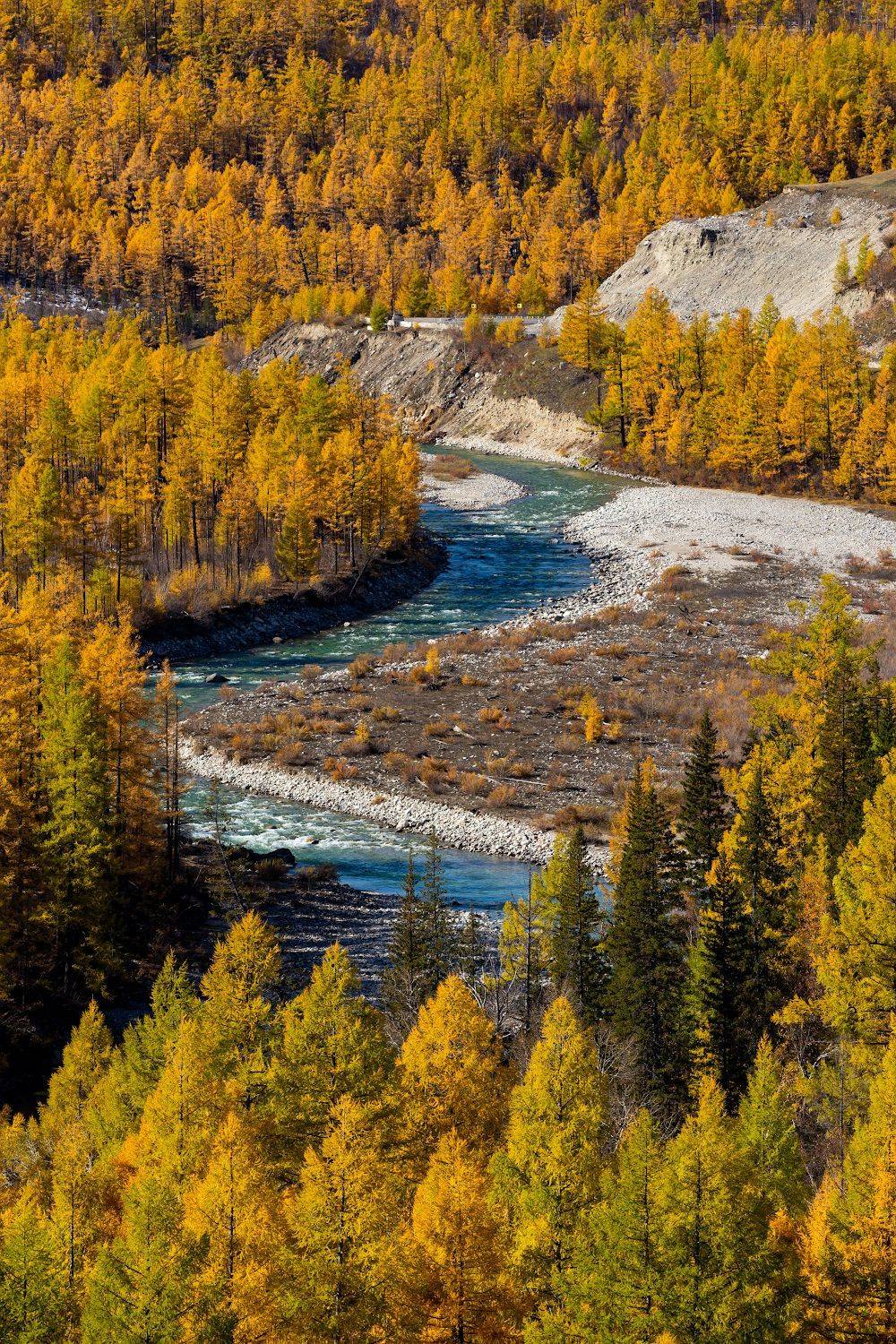 иркут, Буянов Илья