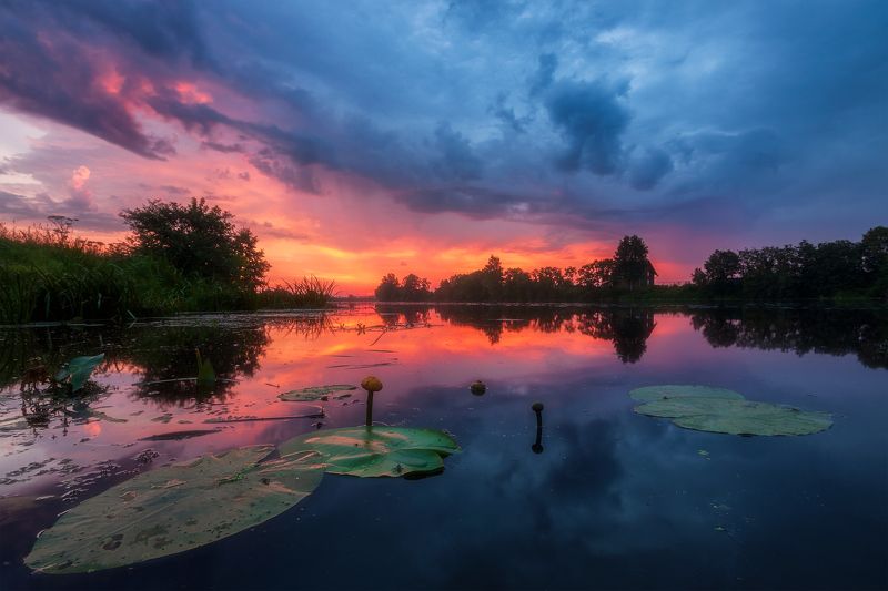 *** фото превью