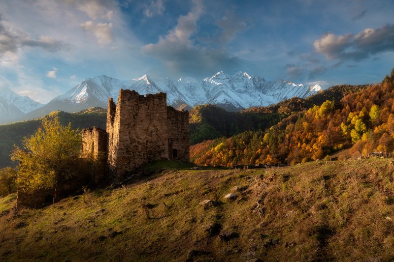 осень, горы, башни, Кавказ, Ингушетия Осеннее утро у башен Кели фото превью
