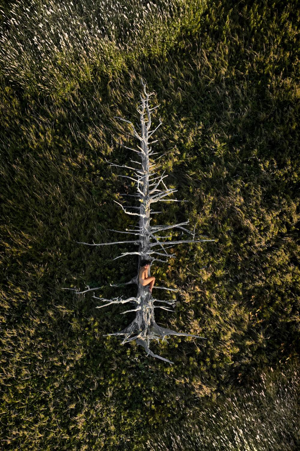 пейзаж природа портрет модель, Igor Dydkovskiy