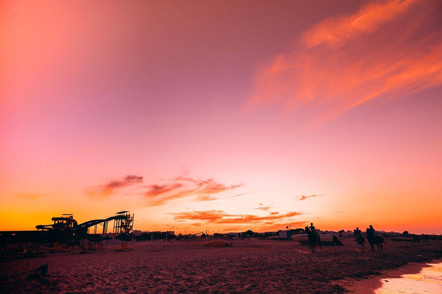 , Трепольский Дмитрий