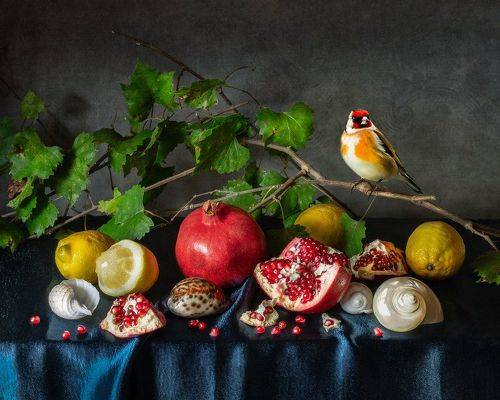 Still Life with Pomegranates and Shells