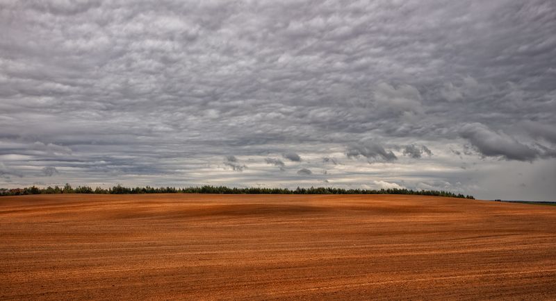 осень, поле, небо, Про рыжее поле и небо фото превью