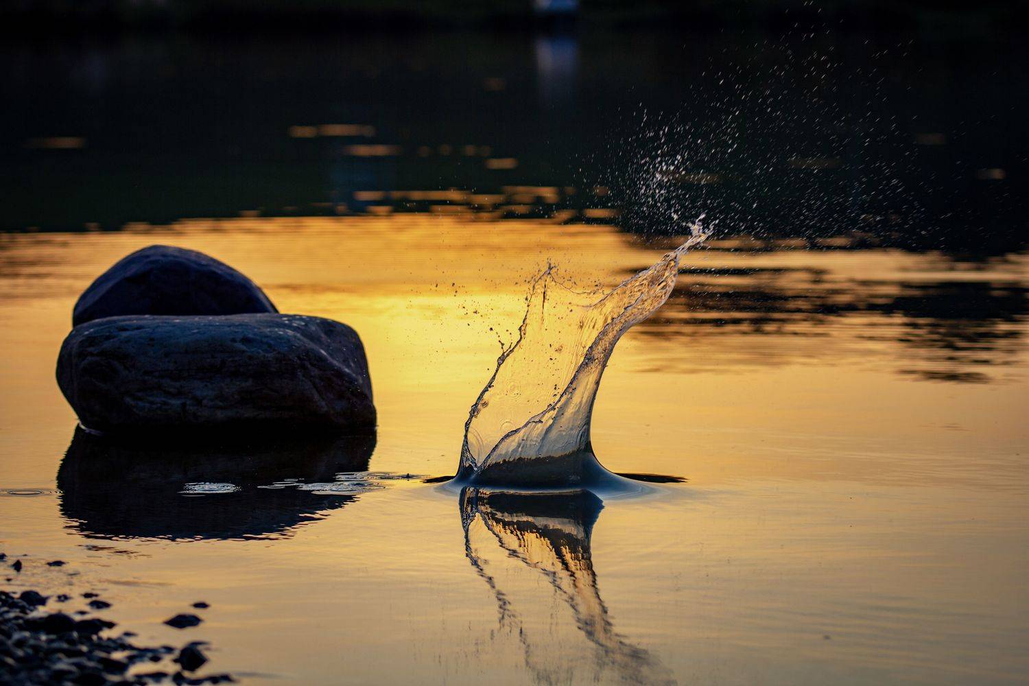 , Сергей Фаренюк