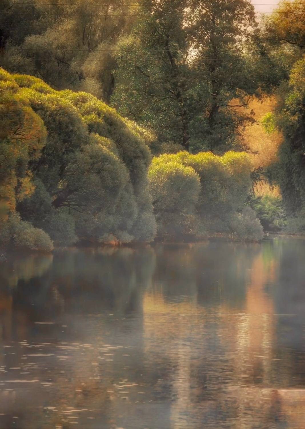 пейзаж, landscape, nature, природа, осень, autumn, sunset, пруд, закат, Julia Kaissa