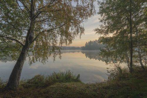 Нежное утро