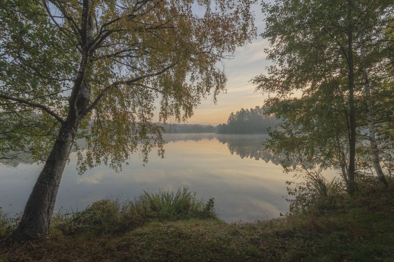 Нежное утро фото превью