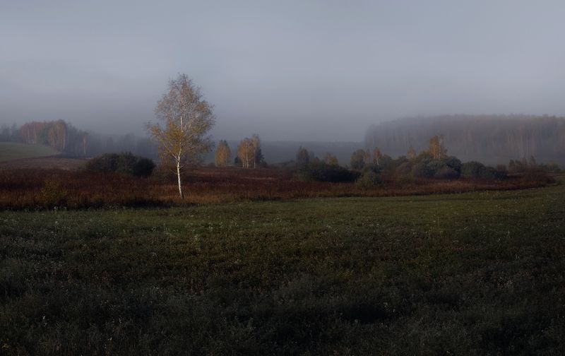 #пезаж #осень #туман #рассвет  фото превью