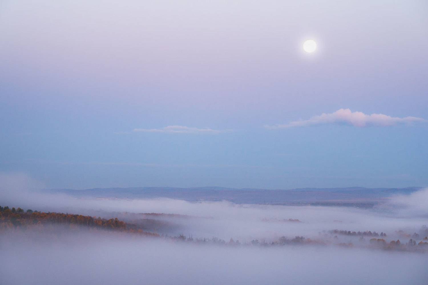 , Сергей Брагин