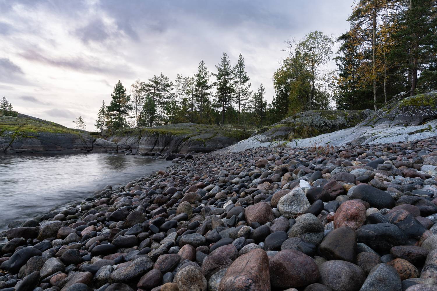 , Ковалев Дмитрий