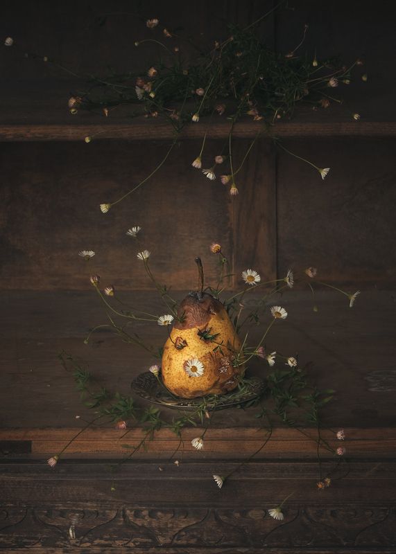 Segunda vida фото превью