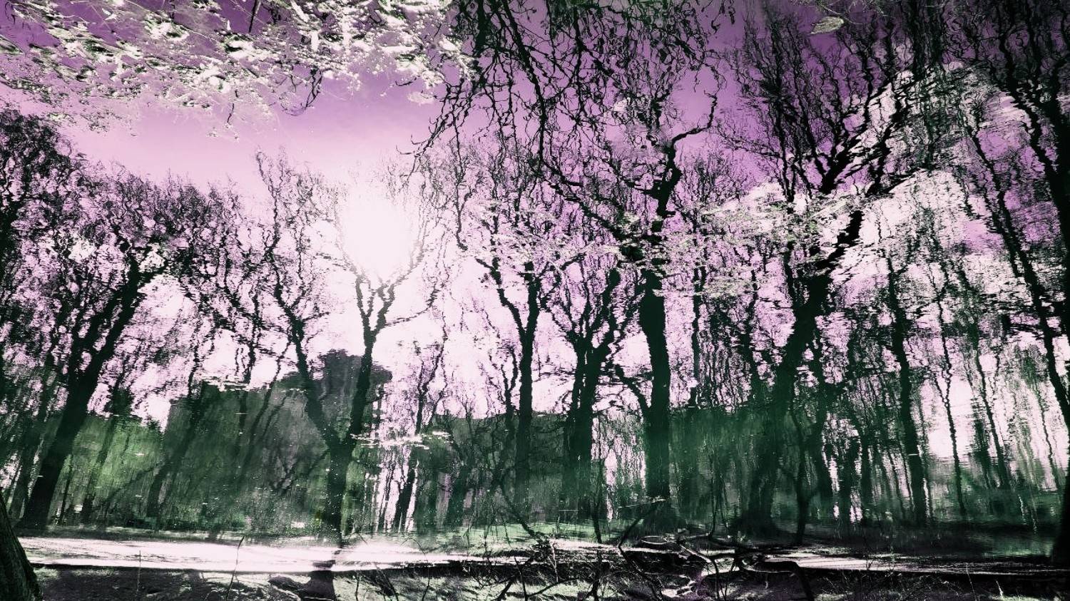 abstract, abstraction, spring, Karina Yakovleva