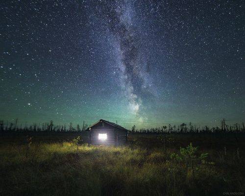 Ночь в лесной избе
