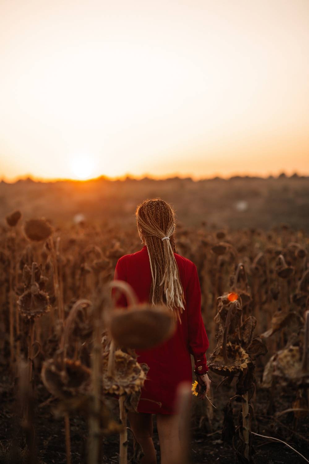 , арабаджи дмитрий