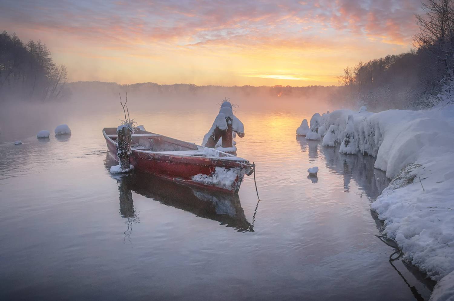 , Анатолий Зверев