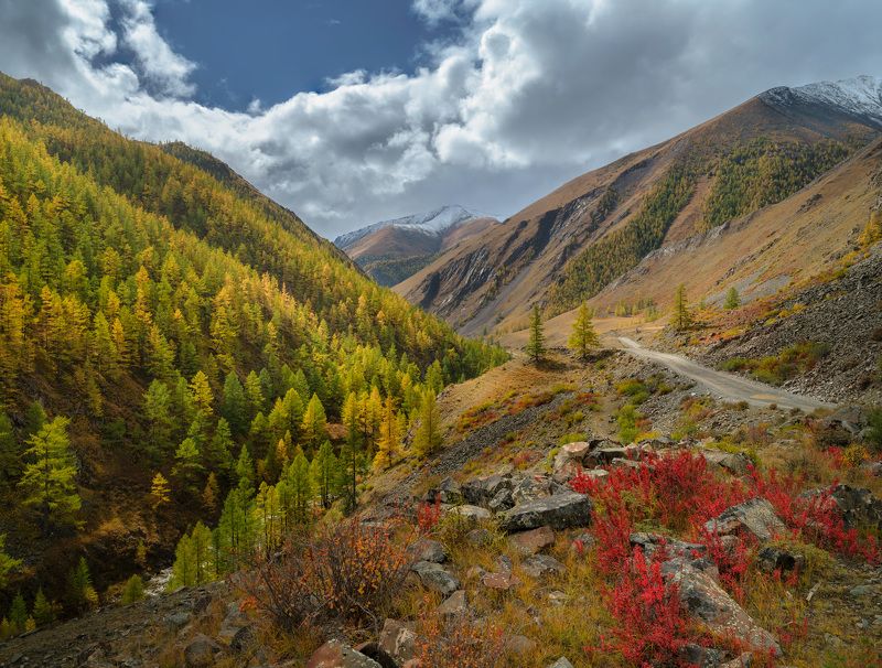 Золотая осень в горах Тывы / Golden autumn in the mountains of Tyva фото превью
