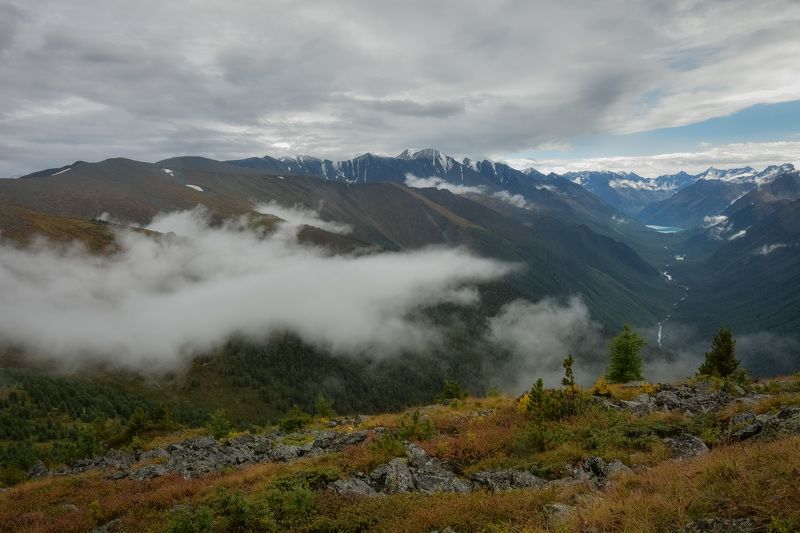 После дождя на Алтае фото превью