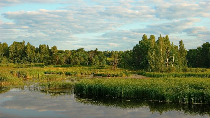 Последние дни лета фото превью