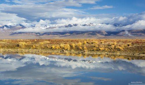 Кош-Агачский район, Республика Алтай.