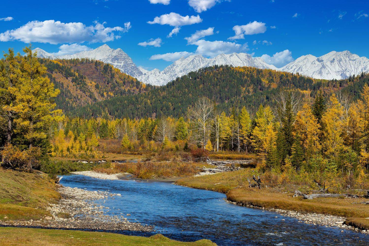 , Буянов Илья