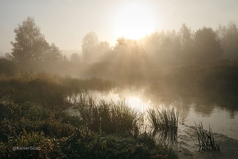 Золотой туман фото превью