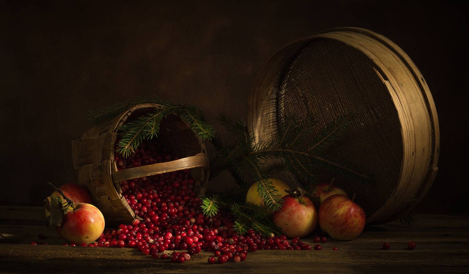 , Хвойнова Елена