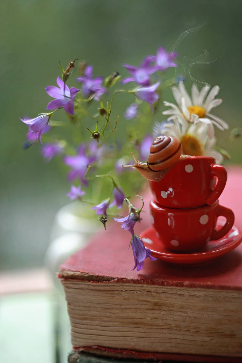 колокольчики, утро, сказка, стихи, улитка, книга, мудрость жизни, ирина горюкина ,беларусь,гелиос, алые чашечки, разговор за чаем., ГОРЮКИНА ИРИНА