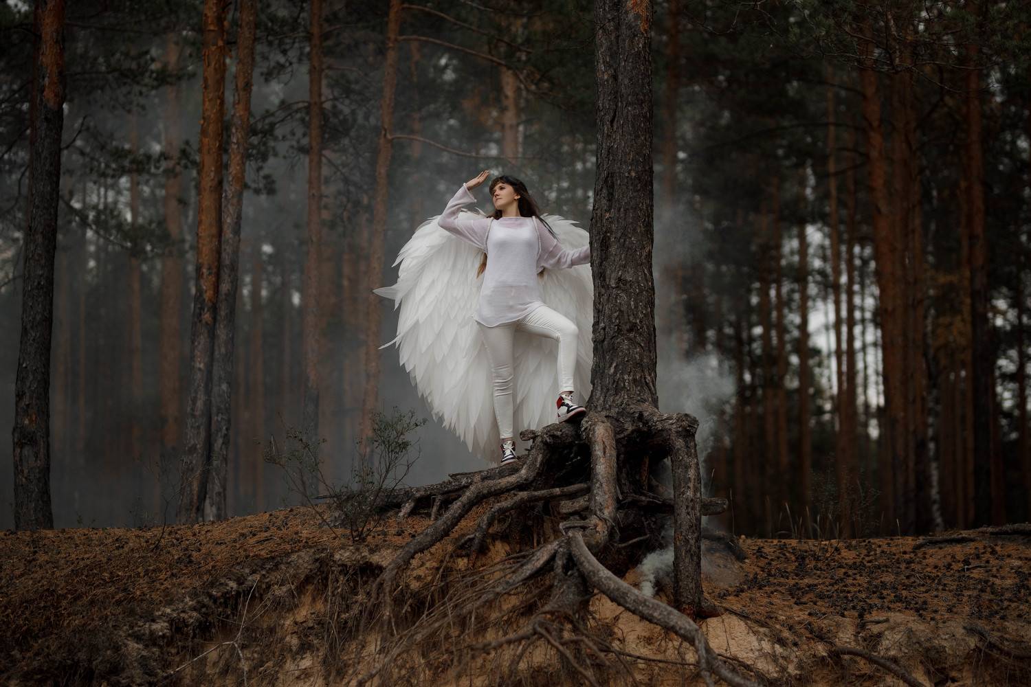 , Васильев Владимир