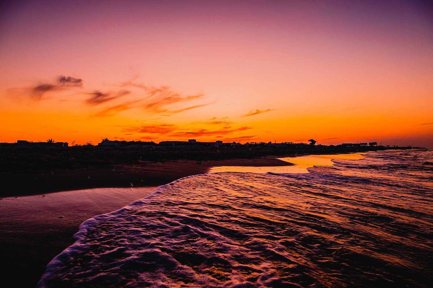 , Трепольский Дмитрий