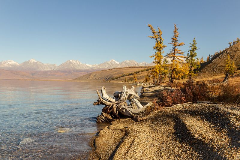 Осенние краски сентября фото превью