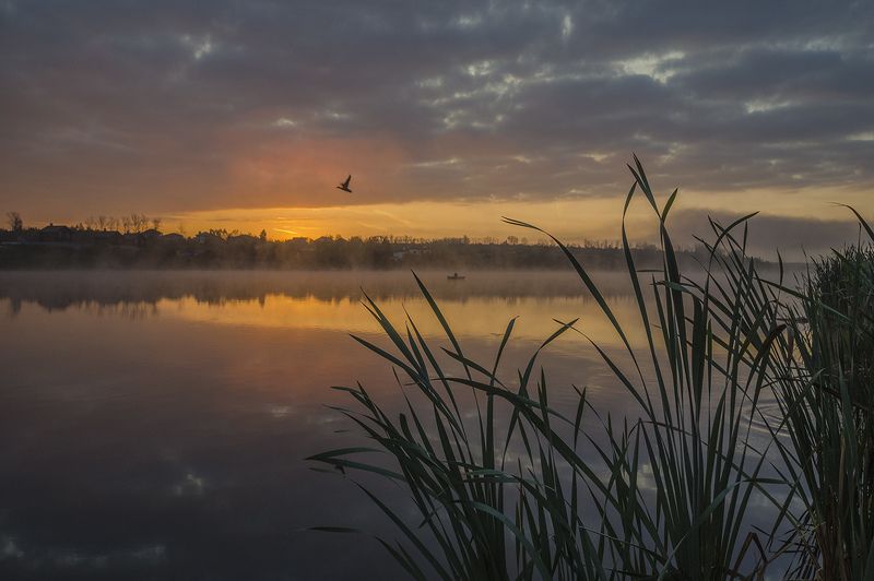 Если рассвет позовёт фото превью