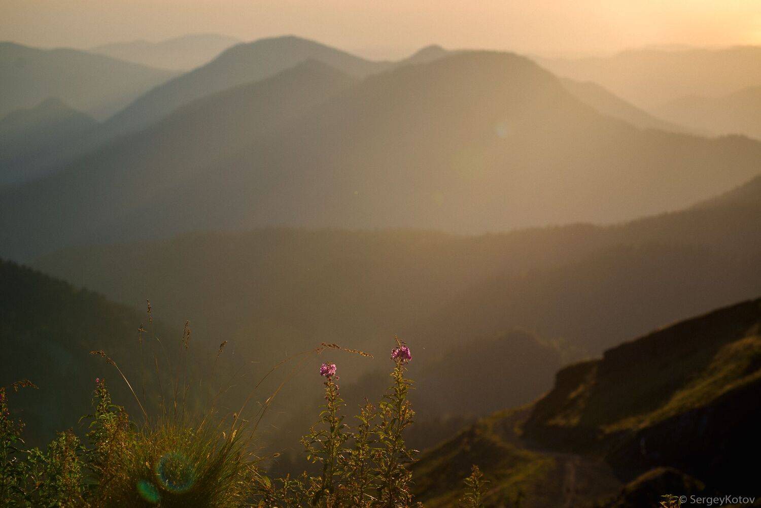 , Сергей Котов