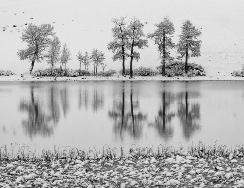 Ранний снег фото превью