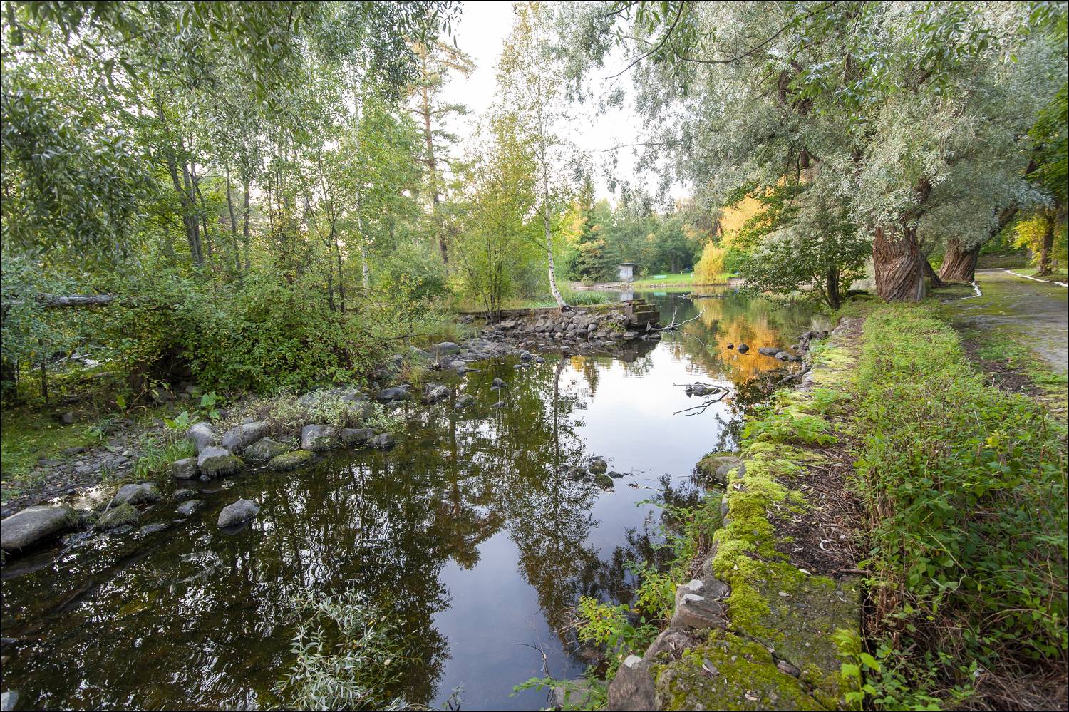 , Георгий Сапожников