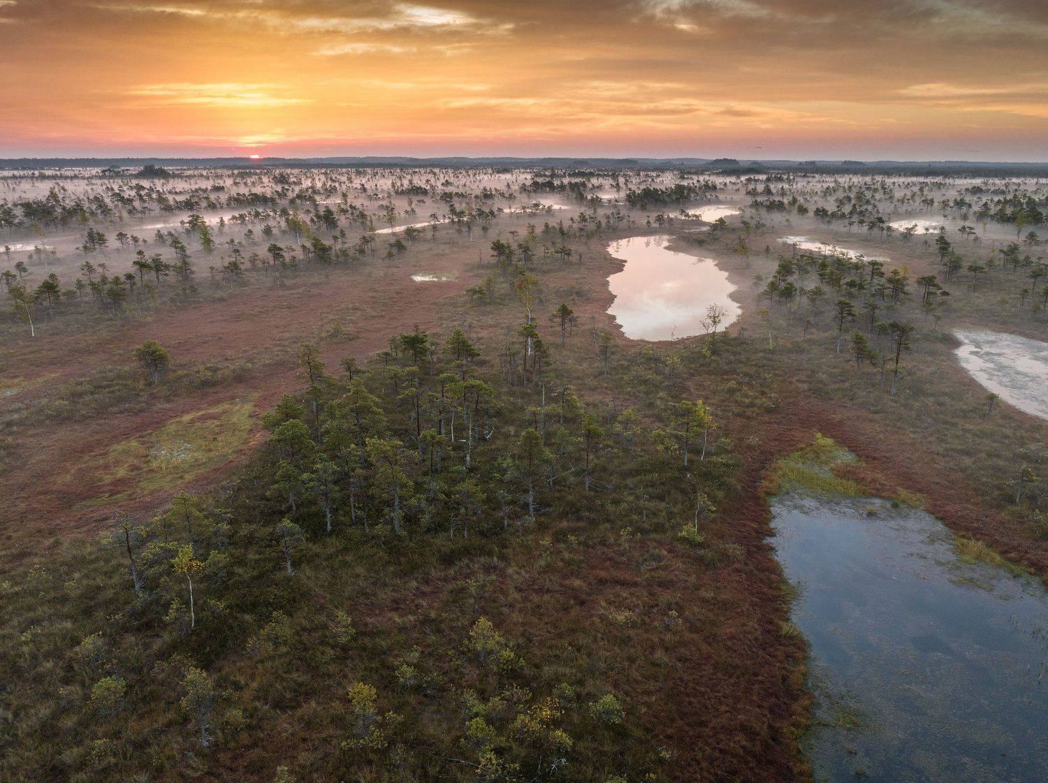 #kemeri, #болото, #утро, #туман, #рассвет, Nikolay Gordon