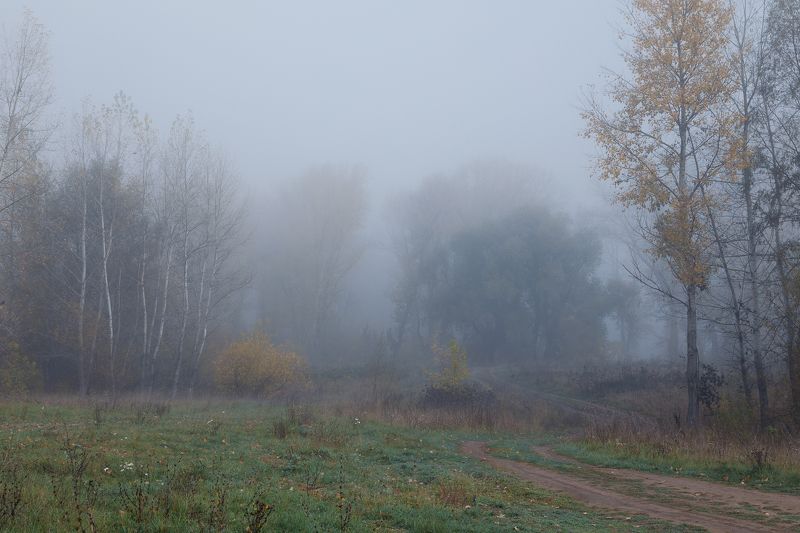 Туманное утро фото превью