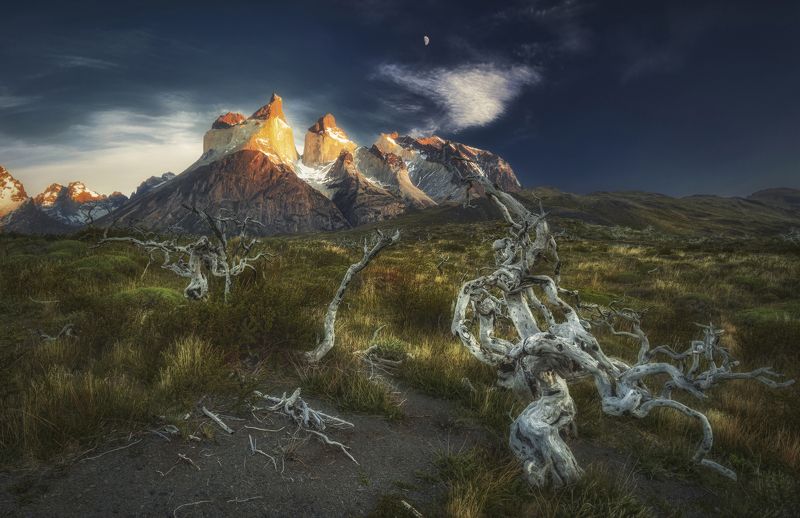 патагония, чили, torres del paine, cuernos del paine Рассветы Патагонии фото превью