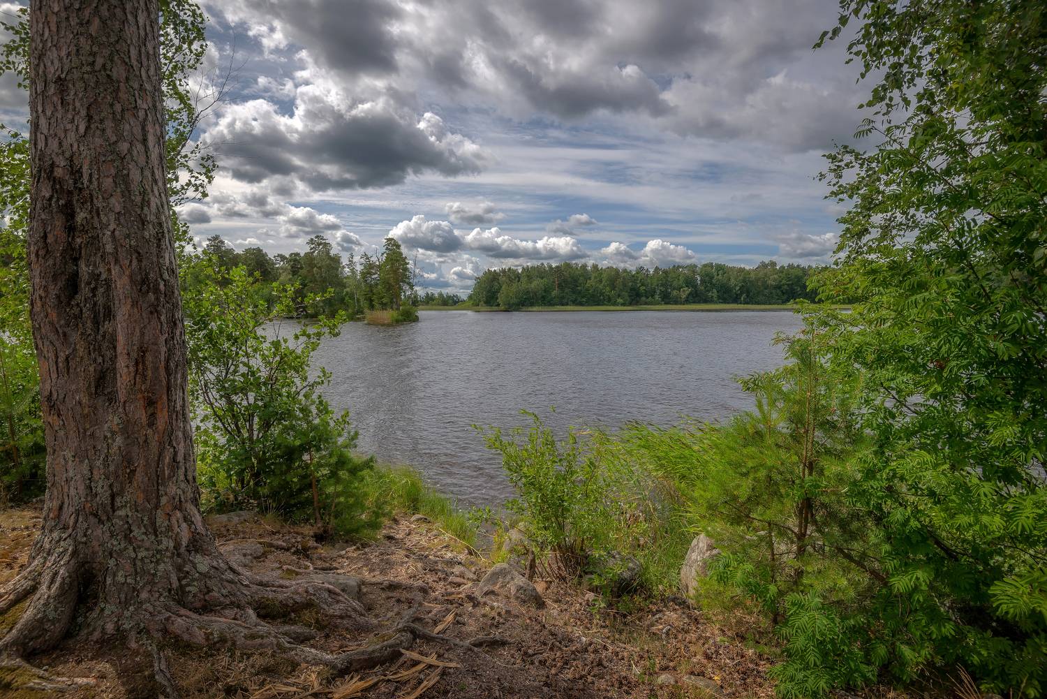 озеро, острова, вуокса, лето, Сергей Аникин