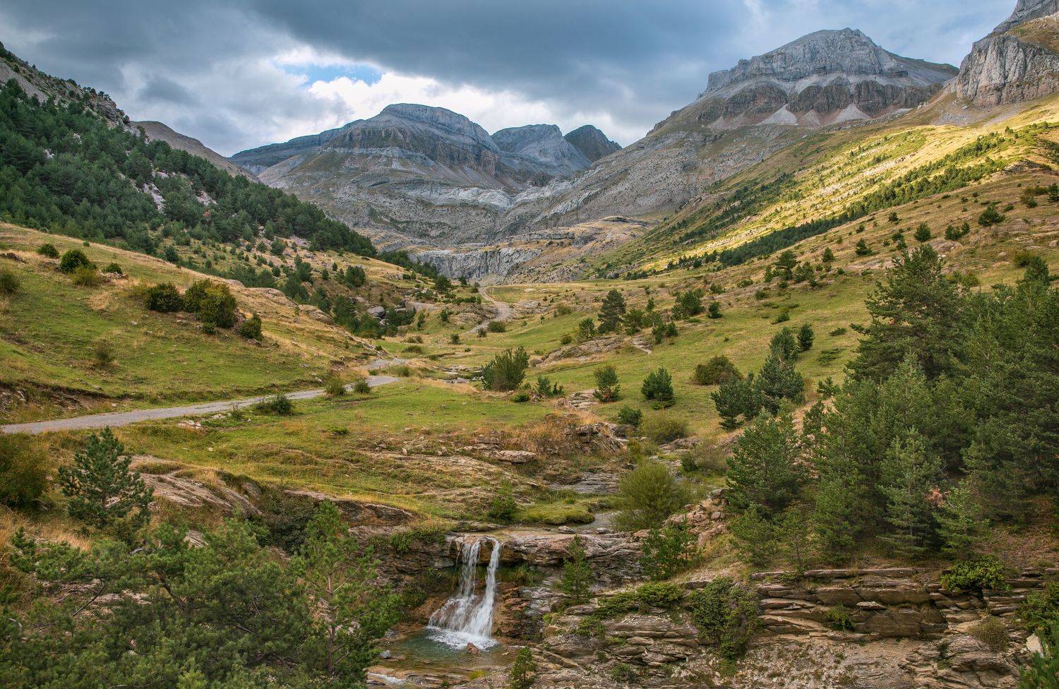 , Алекс Римский