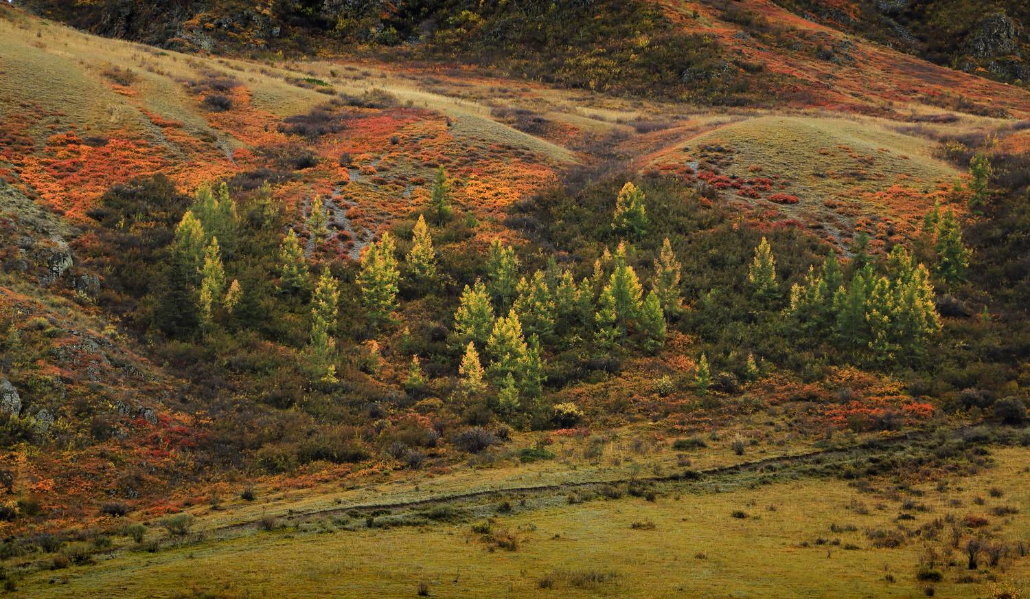 , Евгений Зинов