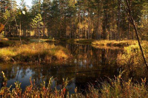 Где-то в Карелии
