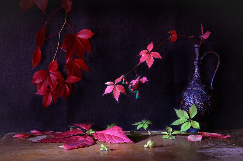 Девичий виноград фото превью