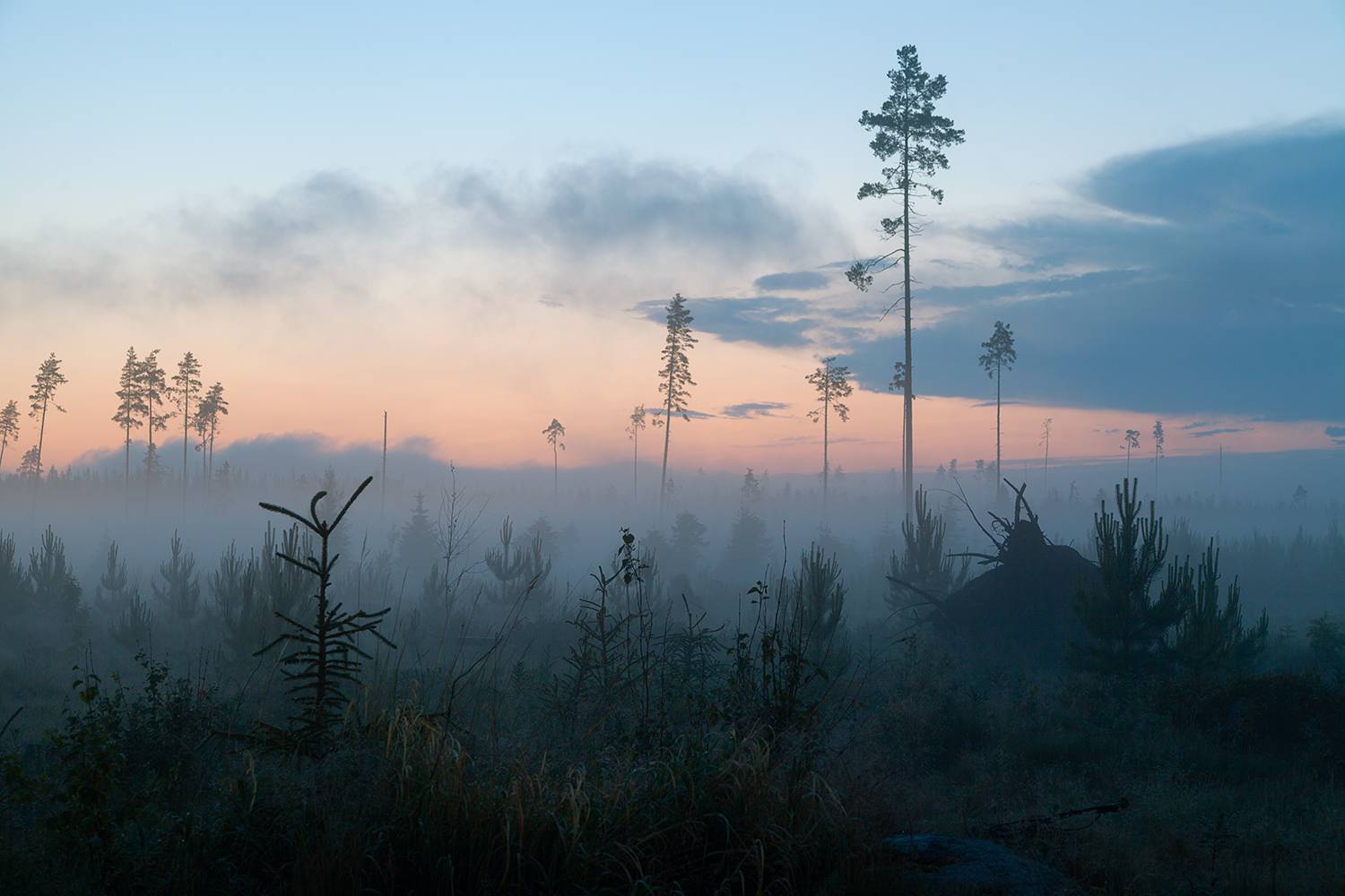 ночь, туман, пейзаж, природа, Хамаганова Мария