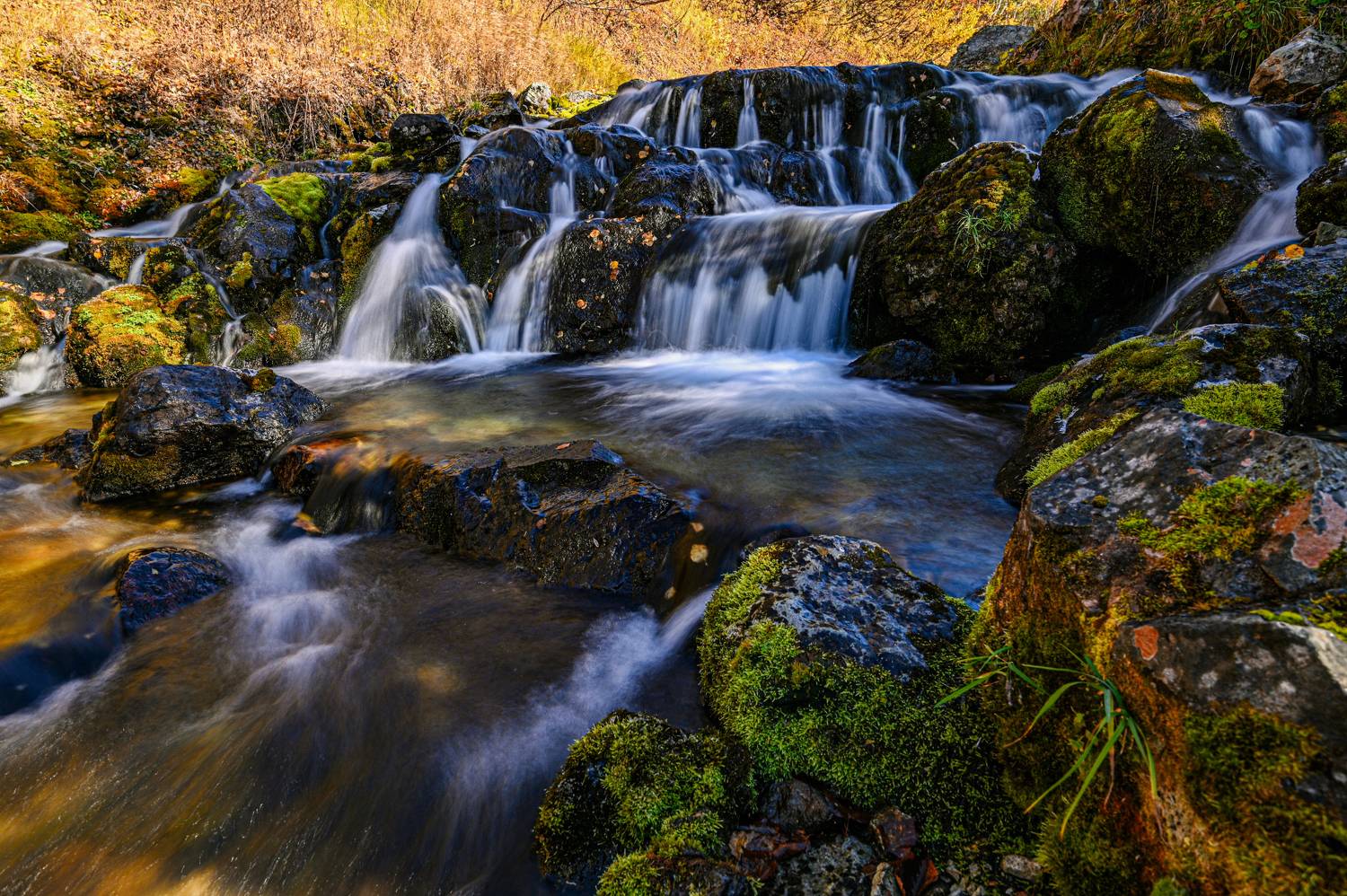, Александр Мухин