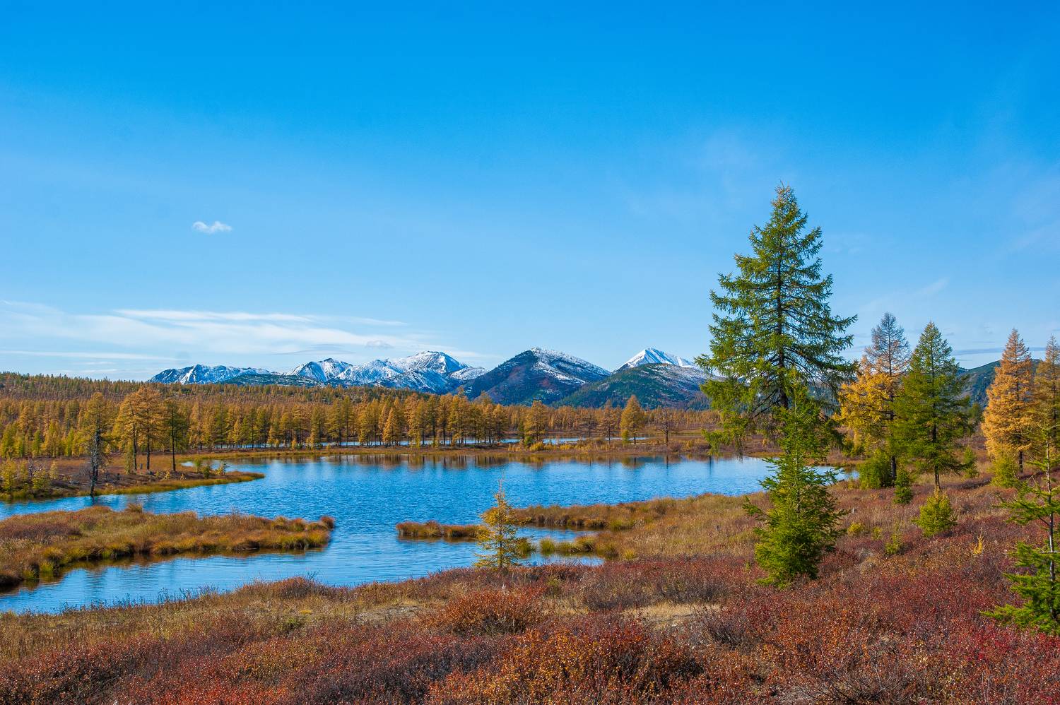 , Андрей Загребельный