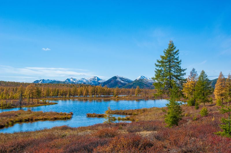 **** фото превью