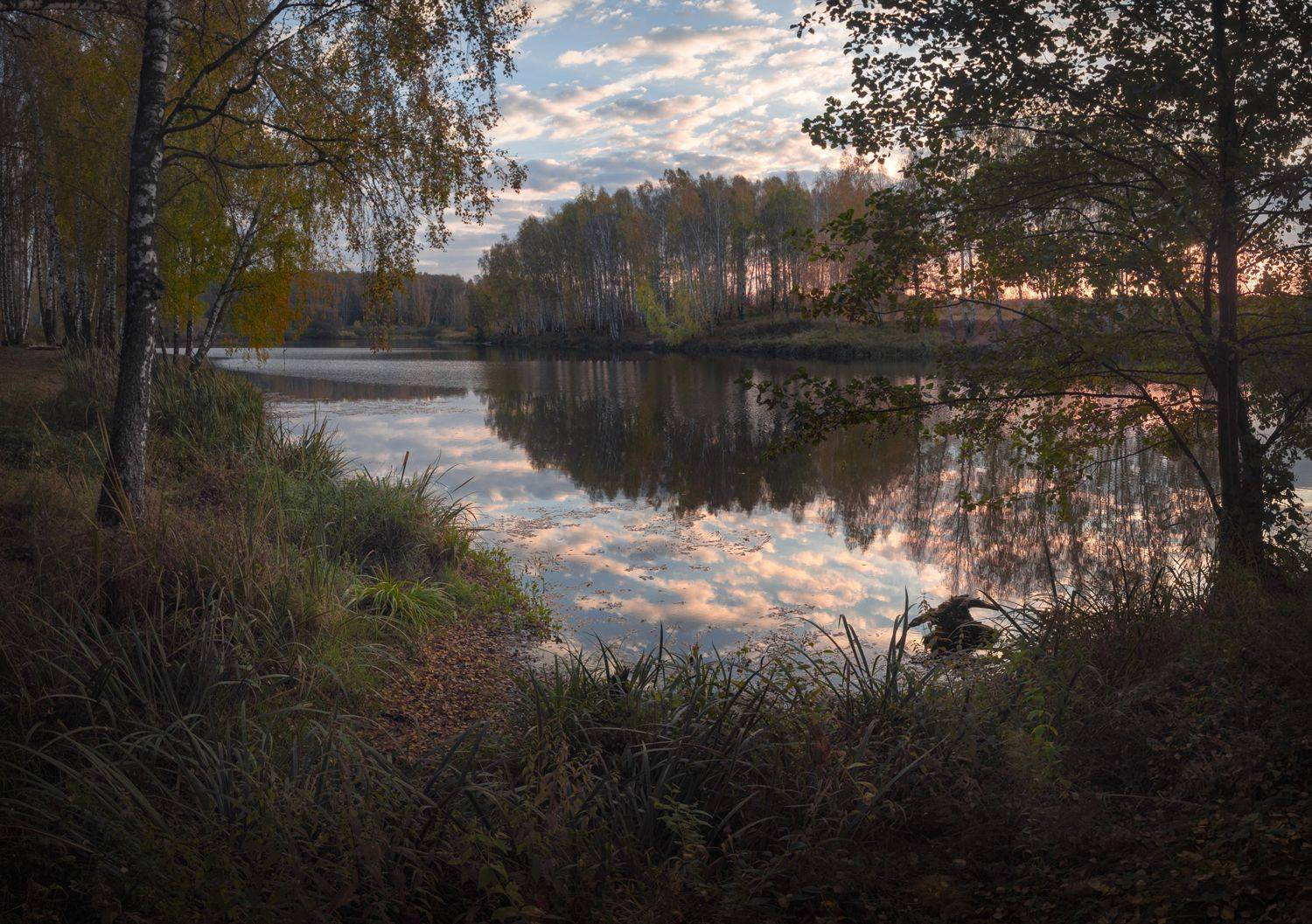 #пезаж #осень #туман #рассвет,  Ольга