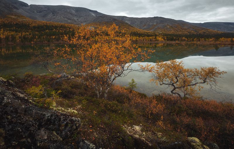 хибины, кольский полуостров Осень на Кольском полуострове. фото превью