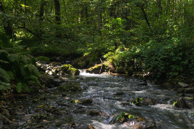 У реки. фото превью