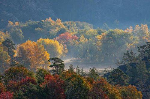 Осень в Кенте